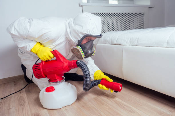 Professional Pest Control in Ambler, PA